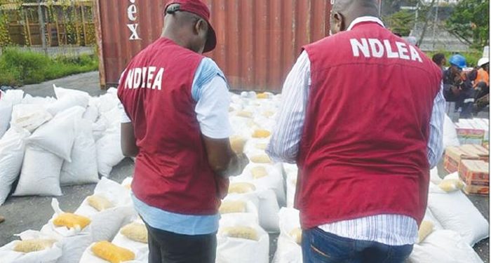 NDLEA uncovers snake-guarded shrine storing illicit drugs in Edo State
