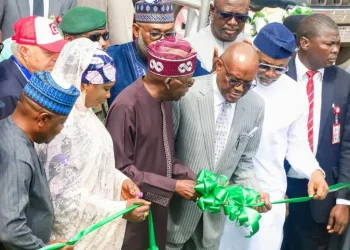 Wike names two Abuja roads after Achebe, Clerk