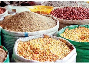 UN aims to support Nigeria, others with food amid hunger crisis in Africa