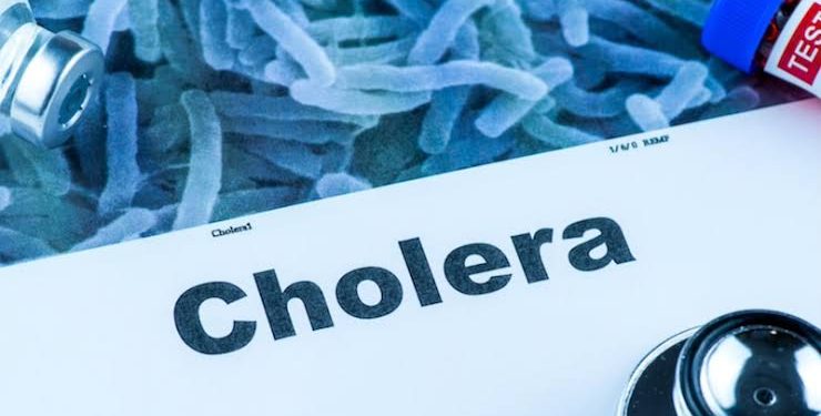 WHO announces global resurgence of cholera with over 1,900 deaths