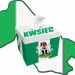 Political party primaries for Kwara councils’ elections begin June 24