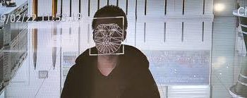 Sweden proposes real-time facial recognition for police to combat crimes