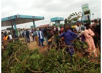 Falling trees kill four in Edo market during rainfall