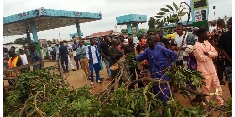 Falling trees kill four in Edo market during rainfall