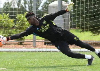 Arsenal confirms deal with Okonkwo, six other players