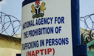 NAPTIP apprehends 115 human trafficking suspects, rescues 75 victims in A’Ibom, others
