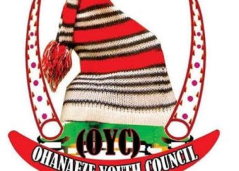 Igbo community disassociate itself from nationwide protest, says Ndigbo will watch as spectators