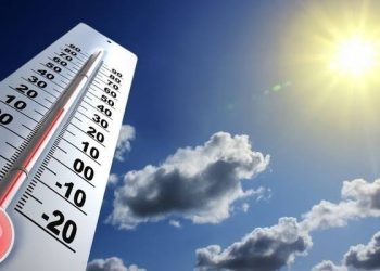 Morocco heatwave kills over 20 in 24 hours
