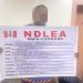 NDLEA arrests Spain-bound businessman with cocaine in sandals, destroys cannabis farm
