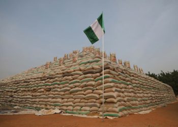 Hunger protest: FG begins sale of 50kg rice for ₦40,000 – Minister