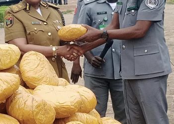 Customs in Kwara State intercepts N57m cannabis, hands them over to NDLEA