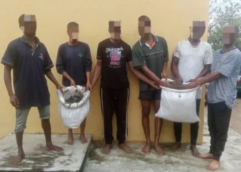 Akwa Ibom Police arrest six suspected drug dealers and cultists in Nsit Ibom raid