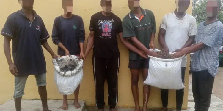 Akwa Ibom Police arrest six suspected drug dealers and cultists in Nsit Ibom raid