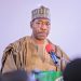 95% of Borno protesters are under 14 years – Zulum