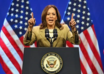‘Now is Time for Ceasefire in Gaza,’ Harris tells pro-Palestine protesters
