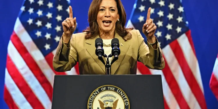 ‘Now is Time for Ceasefire in Gaza,’ Harris tells pro-Palestine protesters