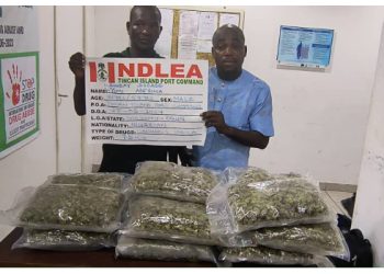 NDLEA intercepts shipment of Loud from Canada in Lagos State