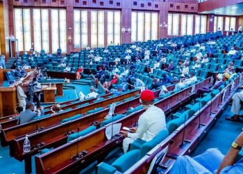 House of Reps proposes jail term for Nigerians who refuse to recite the National Anthem
