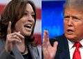 Trump back on stage as Harris basks in poll surge