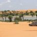 Desertification drives Yobe communities from ancestral lands as sand dunes advance