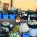 Lagos State Government seizes N1 million worth of alcoholic drinks from parks