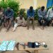 Police nabs inter-state robbery gang in Osun state