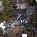 Brazil investigates plane crash as rescue teams evacuate 50 bodies from scene of incident