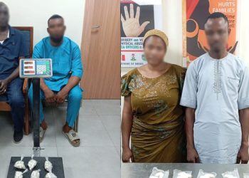 NDLEA intercepts shipment of Loud from Canada in Lagos State