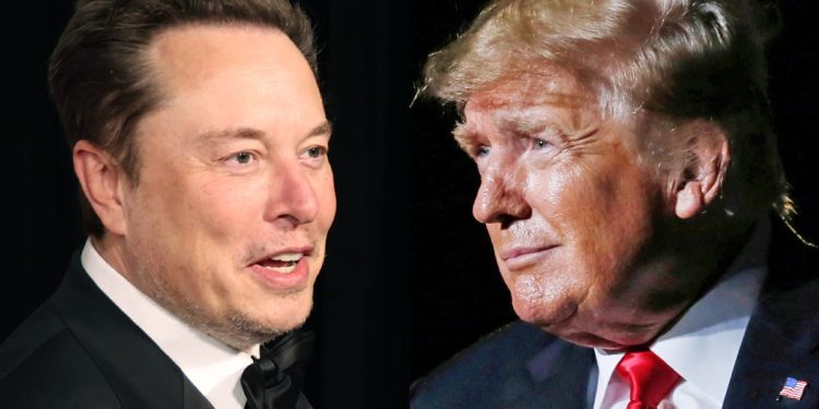Musk hosts friendly chat with Trump on X after tech delays