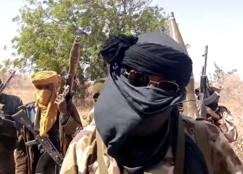 Boko Haram insurgents wreak havoc in Yobe village
