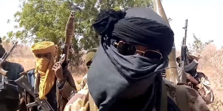 Boko Haram insurgents wreak havoc in Yobe village