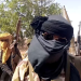 Boko Haram insurgents wreak havoc in Yobe village