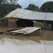 Kaduna flood kills two children, displaces over 1,000