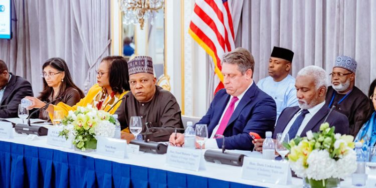 UNGA 79: United States invests $320 million in mortgage and SMEs in Nigeria