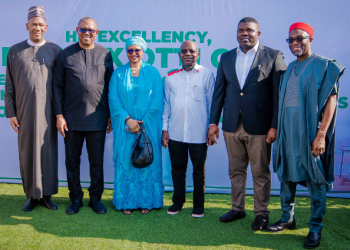 Ex-Minister Nenadi Usman emerges as caretaker chairperson of Labour Party