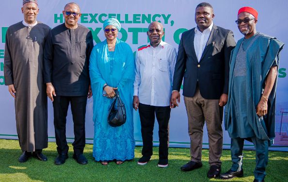 Ex-Minister Nenadi Usman emerges as caretaker chairperson of Labour Party