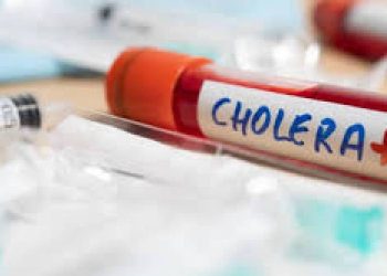 Adamawa records 15 deaths from Cholera outbreak