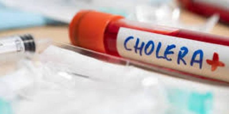 Adamawa records 15 deaths from Cholera outbreak