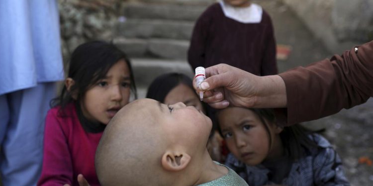 Taliban halts Polio vaccination campaigns, sparking global health concerns
