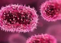 India confirms first Mpox case of emergency strain