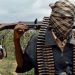 Gunmen kill five youths in Plateau State as security nabs gun runner