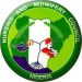 Nursing Council reopens verification portal