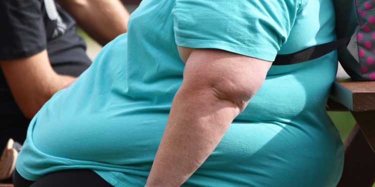 China releases guidelines for obesity diagnosis, treatment