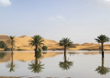 Sahara Desert soaks in rainfall, creating stunning new lakes