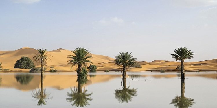 Sahara Desert soaks in rainfall, creating stunning new lakes