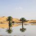 Sahara Desert soaks in rainfall, creating stunning new lakes