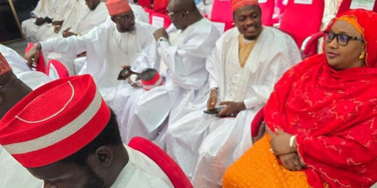 Kano new LG chairmen get certificates of return