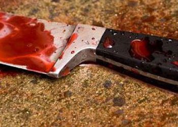 Teenager fatally stabs police officer in Bosnia