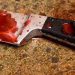 Teenager fatally stabs police officer in Bosnia
