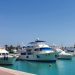 16 missing from Red Sea tourist boat capsize as search enters second day